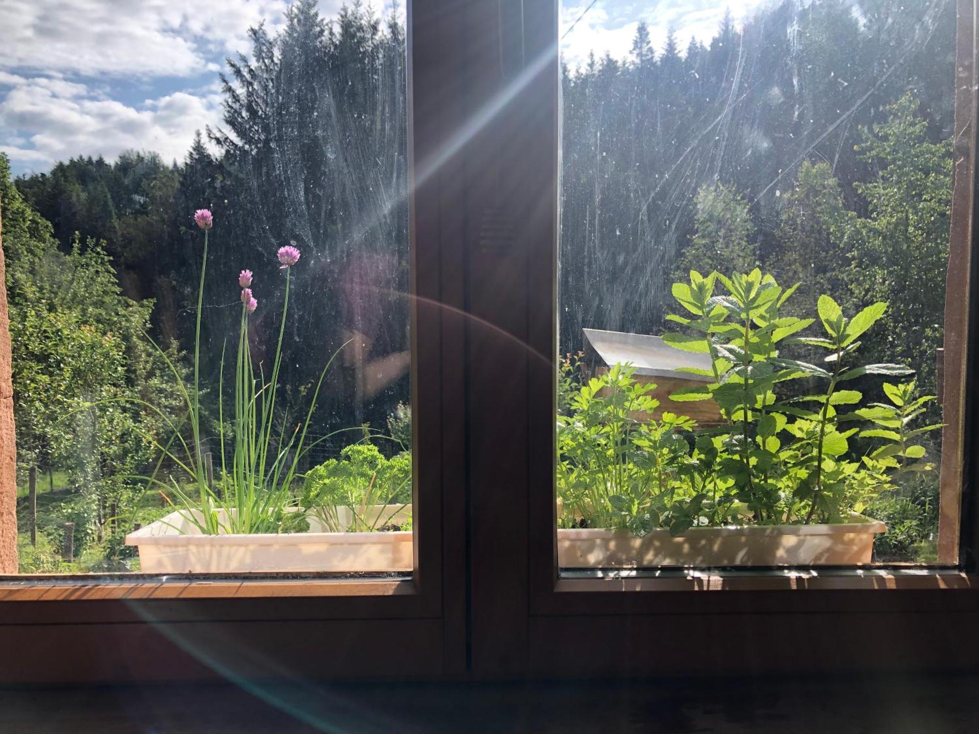A L'Oree De Soi - Maison Forestiere De La Soie - Eco Gite, Chambres D'Hotes, Camping Au Pied Des Vosges Saint-Sauveur  Exteriör bild
