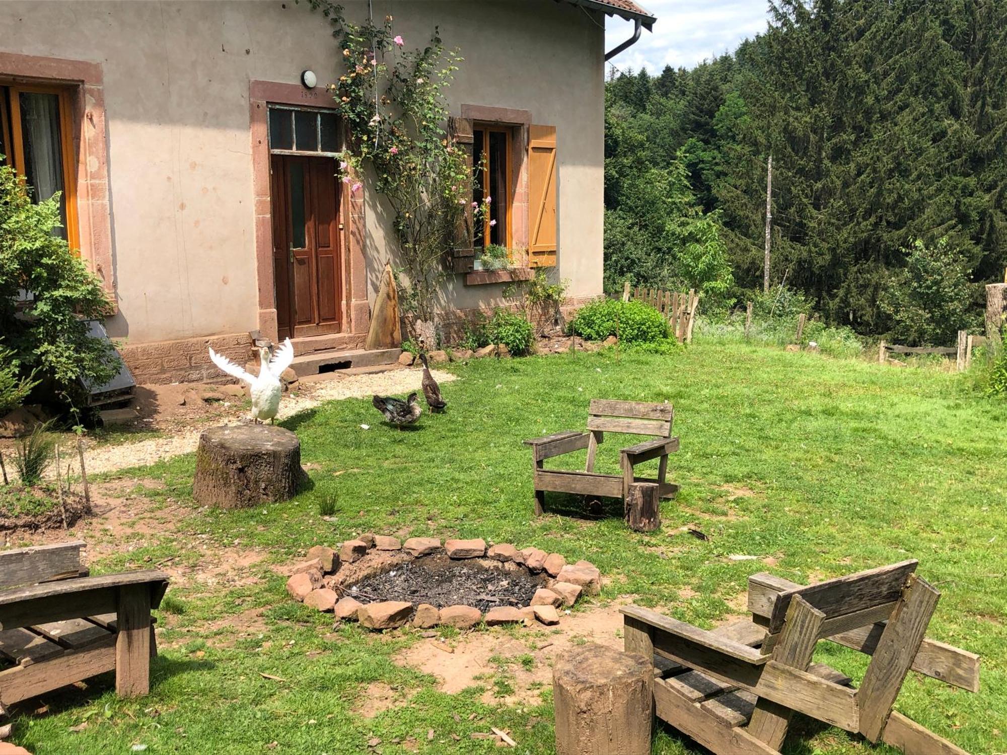 A L'Oree De Soi - Maison Forestiere De La Soie - Eco Gite, Chambres D'Hotes, Camping Au Pied Des Vosges Saint-Sauveur  Exteriör bild