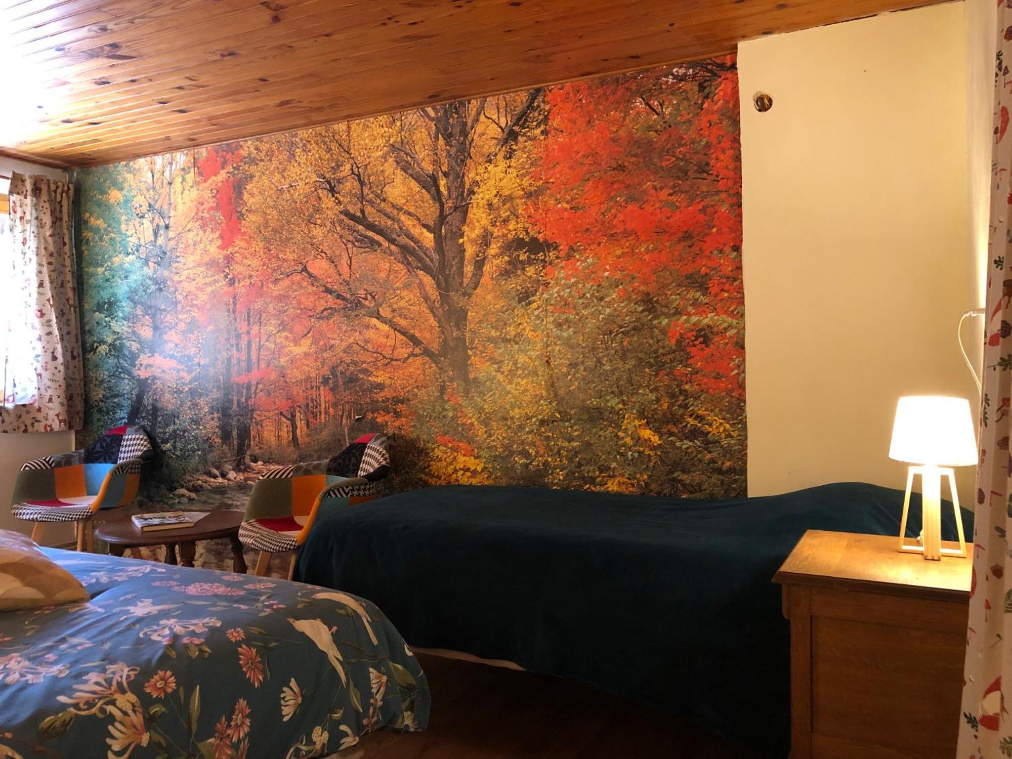 A L'Oree De Soi - Maison Forestiere De La Soie - Eco Gite, Chambres D'Hotes, Camping Au Pied Des Vosges Saint-Sauveur  Exteriör bild